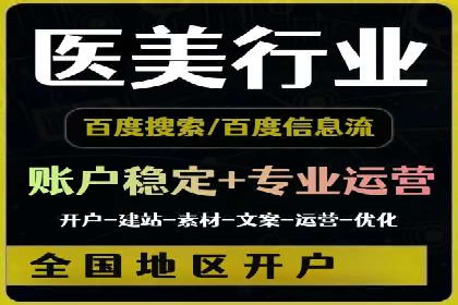 SEM竞价实战：成功案例解析